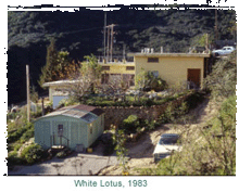 White Lotus Foundation 1983