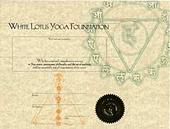 yoga teacher certification